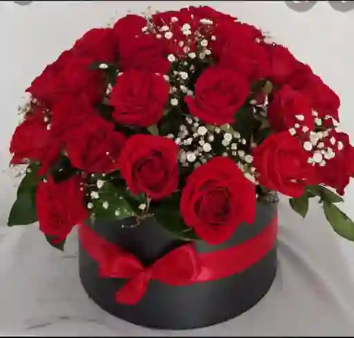 Caja Cuadrada/24 Rosas Rojas
