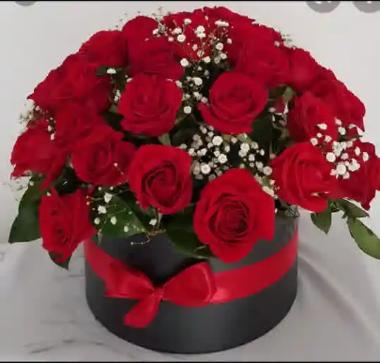 Caja Cuadrada/24 Rosas Rojas
