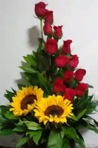 Espiral/derecho-/12rosas/girasoles
