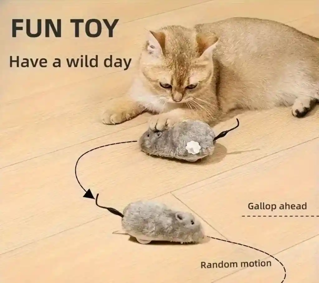 Raton Cuerda Movimiento Juguete Gato