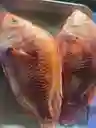 Mojarra Entera
