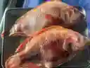 Mojarra Entera