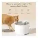 Dispensador De Agua Para Mascotas