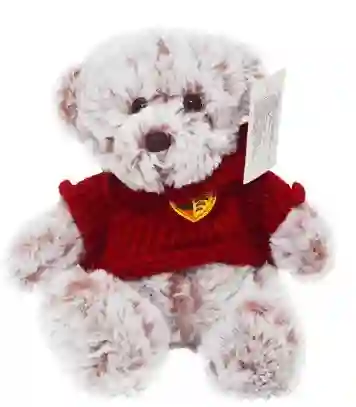 Peluche Oso Con Saco