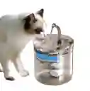 Bebedero Para Gatos