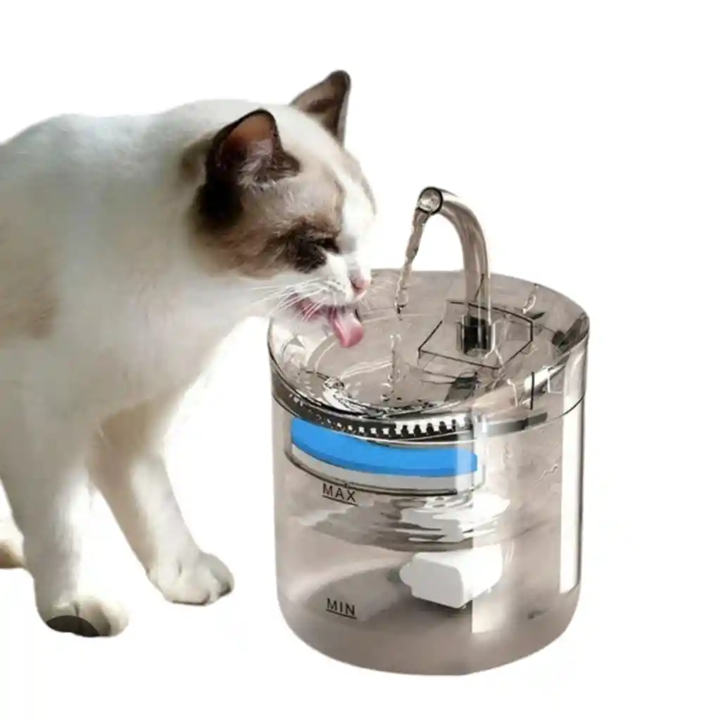 Bebedero Para Gatos