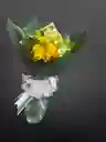 Verde Encanto