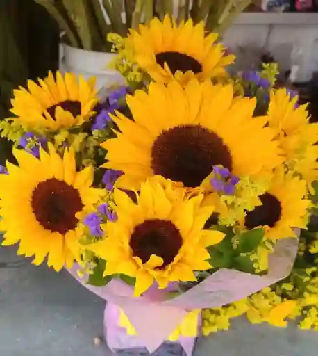 Girasoles