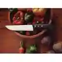 Cuchillo De Cocina Tramontina 8 Pulgadas - 20 Cm Carnicero Plenus