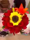 Torbellino Rojo ❤️‍🩹