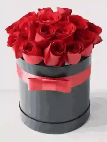 Tesoro En Rosas