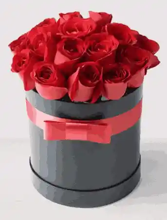 Tesoro En Rosas