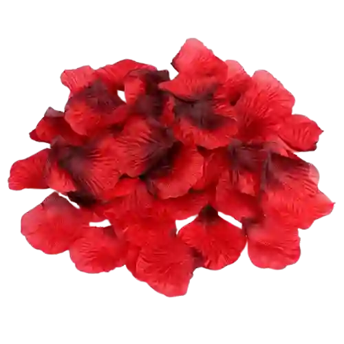 Petalos Artificiales
