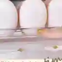 Caja De Almacenamiento Organizadora Para Huevos 30 Puestos