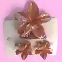 Trio Caiman De Flor