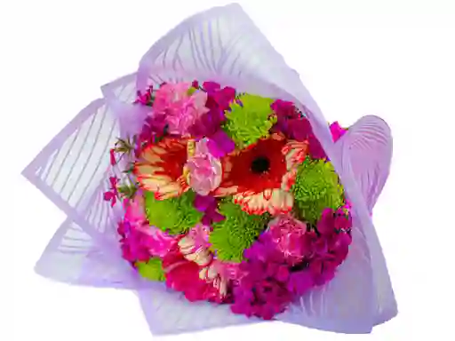 Primavera Con Gerberas