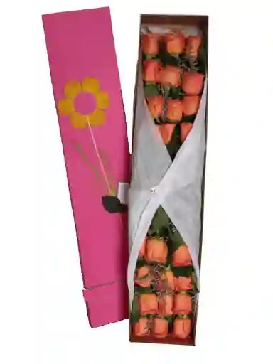 24 Rosas Con Amor