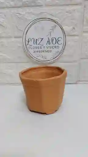Maceta Hexagonal O Redonda Terracota Grande