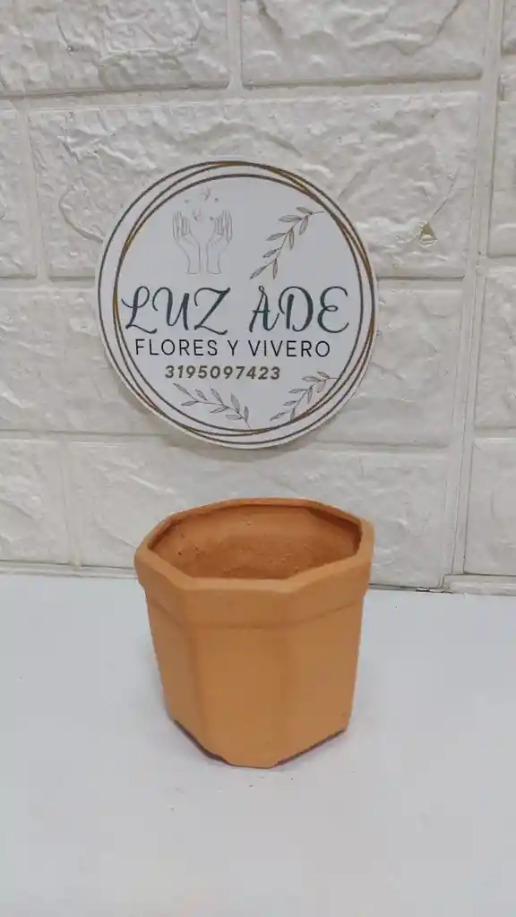 Maceta Hexagonal Redonda Redonda De Terracota Mini