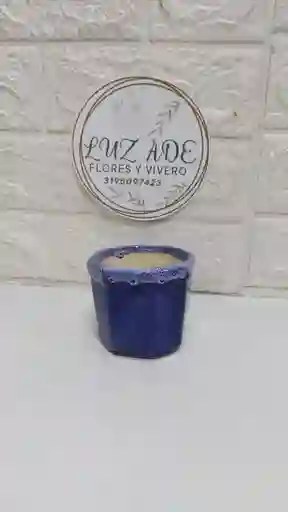 Matera De Loceada Azul Mediana