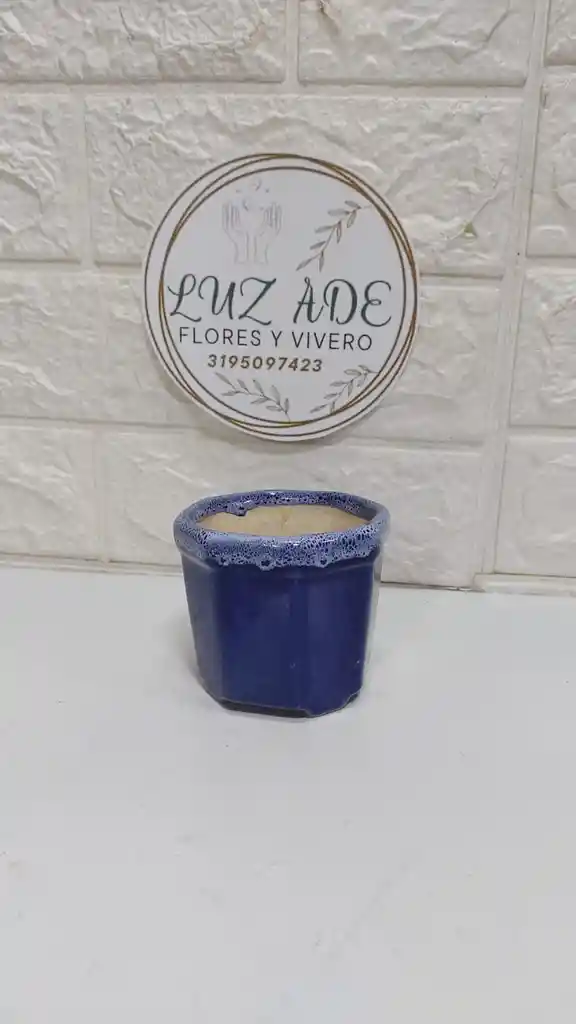 Matera De Loceada Azul Mediana