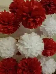 Pompones De Papel De Seda