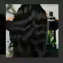Tinte Inoa 1 L’oréal Negro (60g)