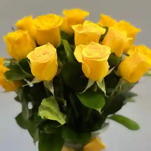 Florero Esperanza