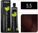 Tinte Inoa 5.5 L’oréal Castaño Claro Caoba (60g)