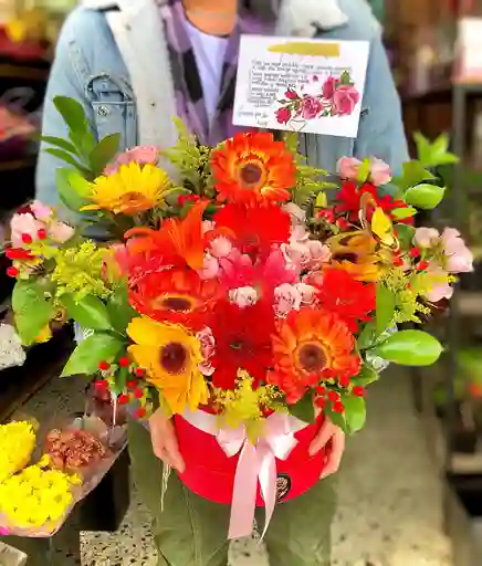 Lufloría 🦋🌸
