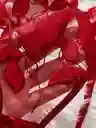 Set Thais Rojo (m)
