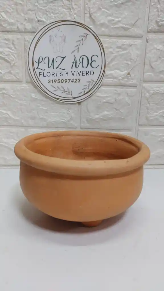 Maceta De Barro Con Plato Redondo Bonsai
