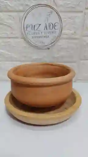 Maceta De Barro Con Plato Redondo Bonsai