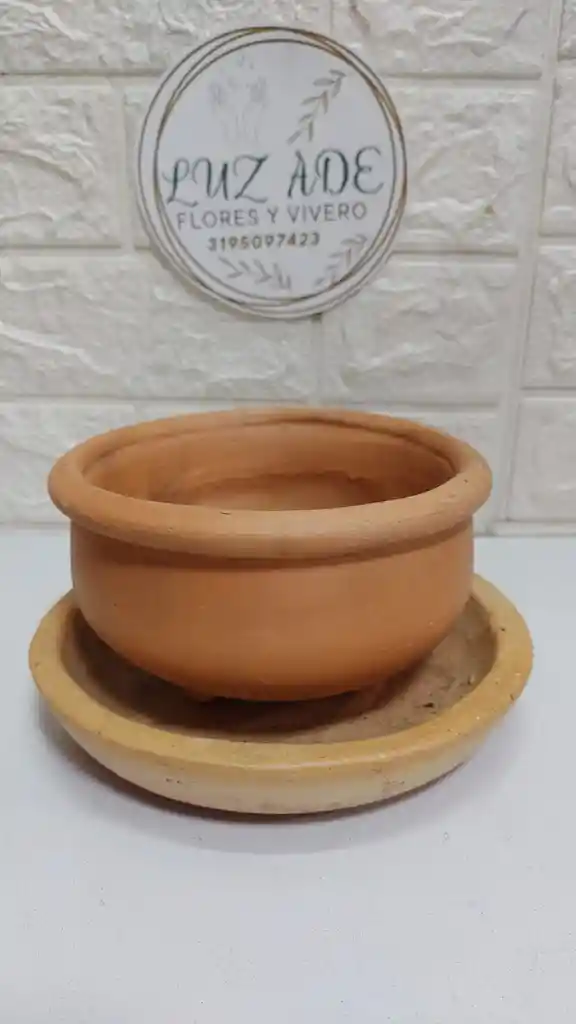 Maceta De Barro Con Plato Redondo Bonsai