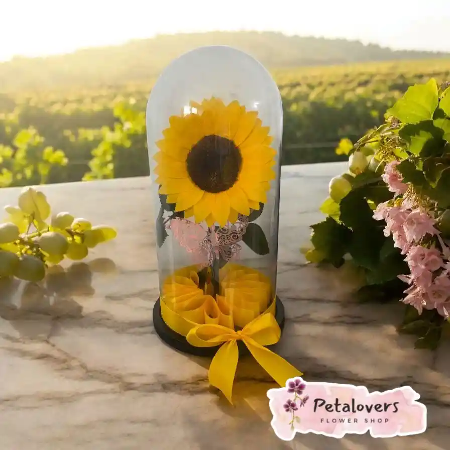 Girasol Preservado
