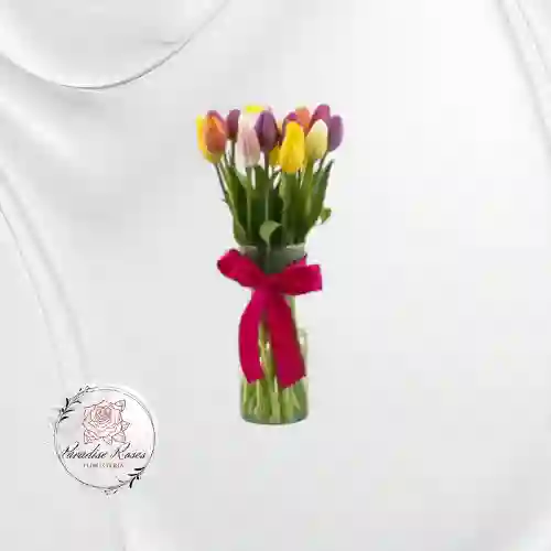 Colores Del Alma
