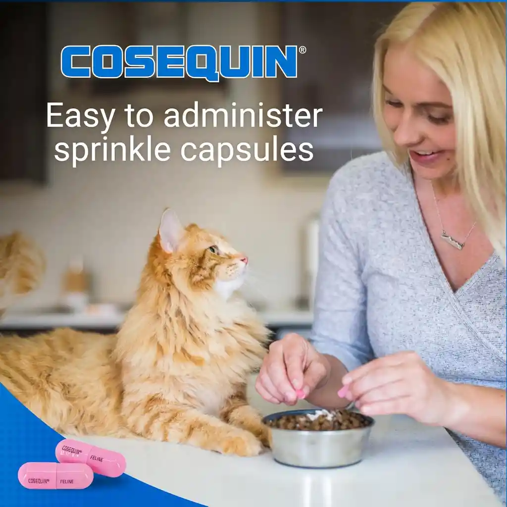 Cosequin Para Gatos Tarro X 60
