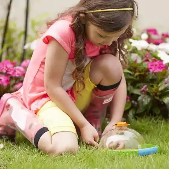 Juego Para Explorar Insectos Con Luz Led Para Niños