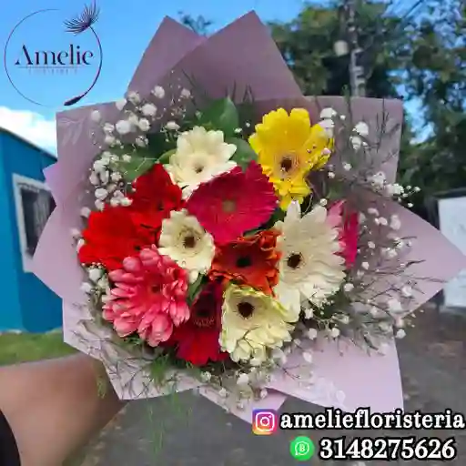 Bouquet De 12 Gerberas