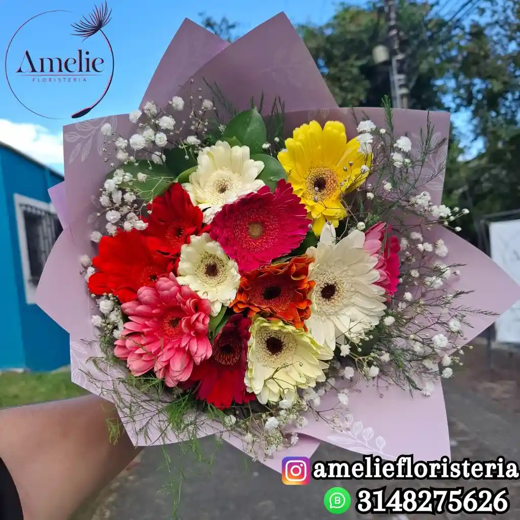 Bouquet De 12 Gerberas