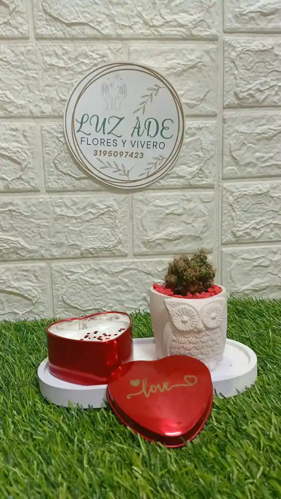 Luz De Amor Con Planta Y Vela Con Aroma Amor Y Amistad