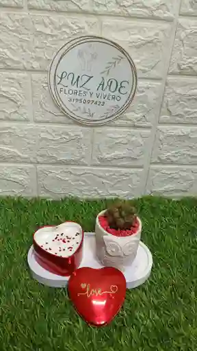 Luz De Amor Con Planta Y Vela Con Aroma Amor Y Amistad