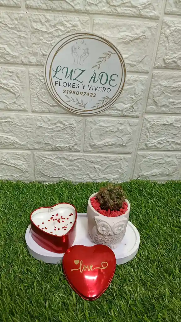 Luz De Amor Con Planta Y Vela Con Aroma Amor Y Amistad