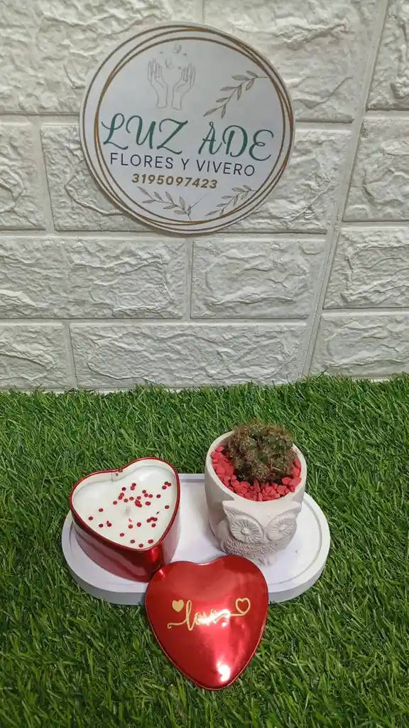 Luz De Amor Con Planta Y Vela Con Aroma Amor Y Amistad