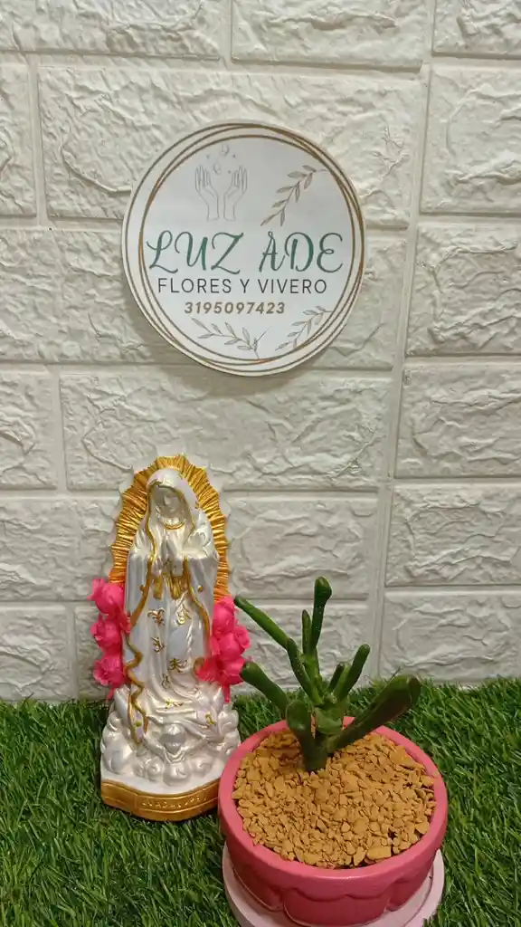 Planta Con Virgen En Yeso
