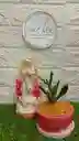 Planta Con Virgen En Yeso