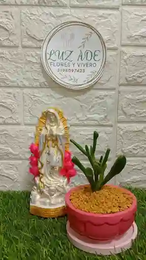 Planta Con Virgen En Yeso