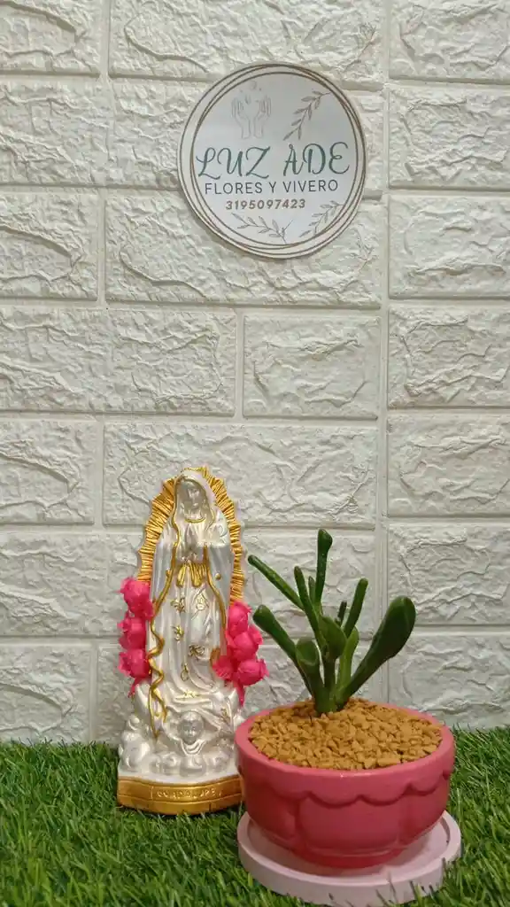 Planta Con Virgen En Yeso