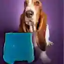 Comedero Plato Para Perros Orejas Largas