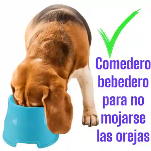 Comedero Plato Para Perros Orejas Largas